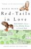 Red-tails_in_love