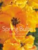 Spring_bulbs