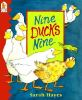 Nine_ducks_nine